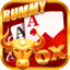 play rummy apk